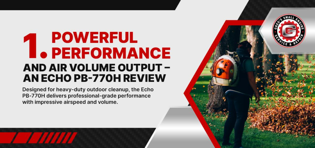 Echo PB-770H Review